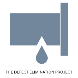 The Defect Elimination Project 250 x 250